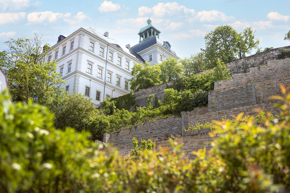 Bild vergrößern: Schloss Neu-Augustusburg