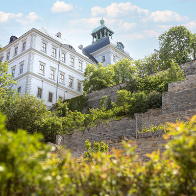 Bild vergrößern: Schloss Neu-Augustusburg