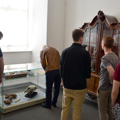 Bild vergr&ouml;&szlig;ern: Das Kabinett des Novalis Besucher