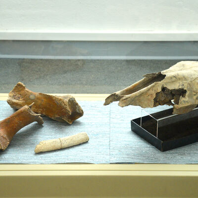 Bild vergr&ouml;&szlig;ern: Das Kabinett des Novalis