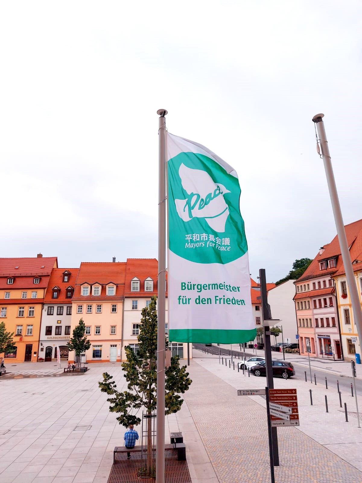 Friedensfahne, Friedenstaube Weltfriedenszeichen Symbol Flagge für