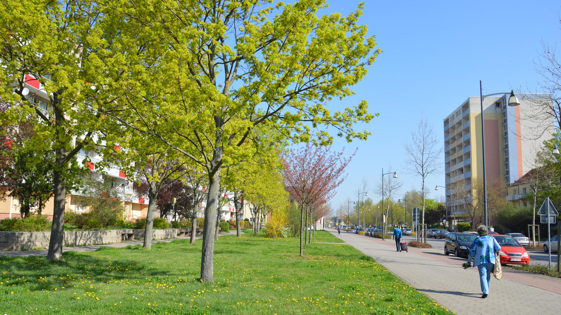 Stadt Weißenfels