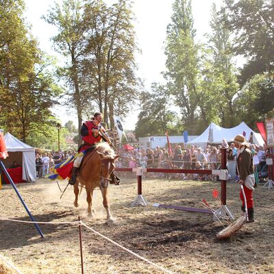 Bild vergrößern: Weienfelser Stadtfest Historischer Markt Ritterturnier