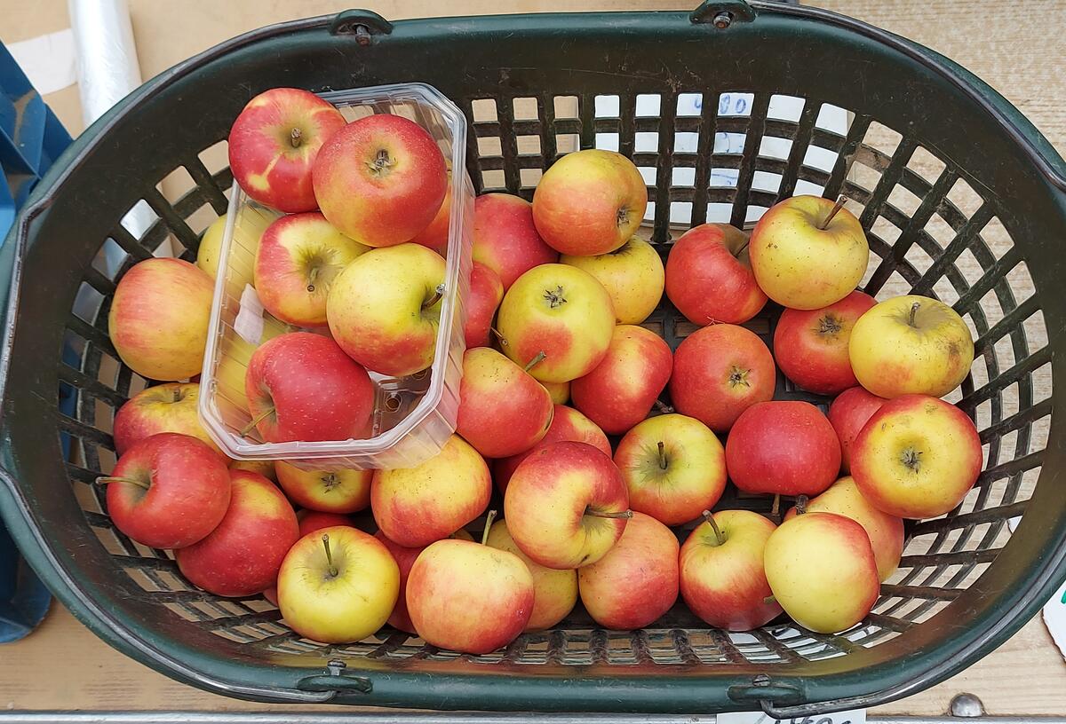 Äpfel im Korb