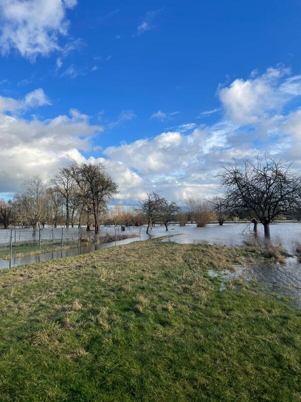 Bild vergrößern: Hochwasser