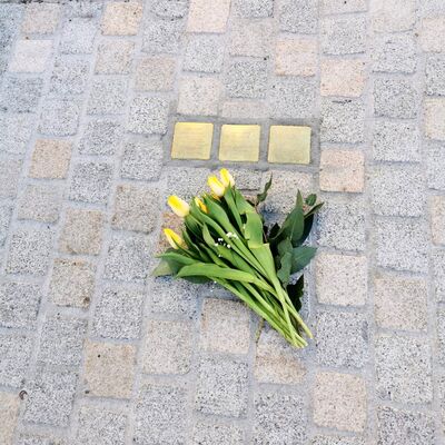 Bild vergrößern: Stolpersteine
