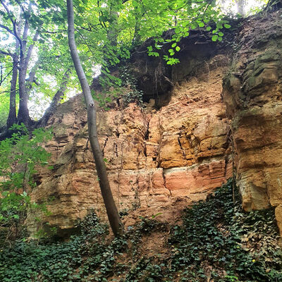 Bild vergrößern: Felsvorsprung Am Kirchberg_Mike Arning