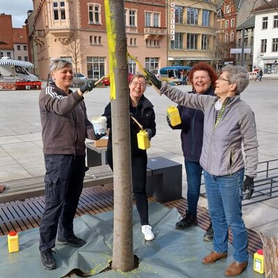 Bild vergr&ouml;&szlig;ern: Stadtverwaltung 02