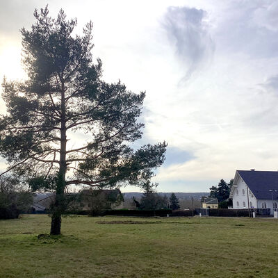 Bild vergrößern: Roßbacher Straße 8_8