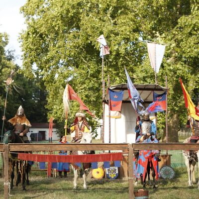 Bild vergrößern: Ritterspiele Historischer Markt_Anne Kasten