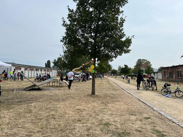 Bild vergrößern: Sportfest im Neustadtpark