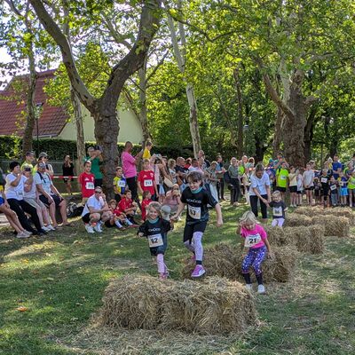 Bild vergrößern: Lauf gegen Gewalt Bambini-Lauf
