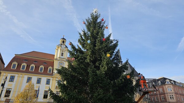 Bild vergr&ouml;&szlig;ern: Herrnhuter Sterne am Baum_Anne Kasten