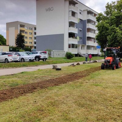 Bild vergr&ouml;&szlig;ern: 2025-06-11 Wildblumenwiese Kugelberg