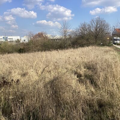 Bild vergr&ouml;&szlig;ern: Erdmann-Neumeister-Stra&szlig;e 1_1