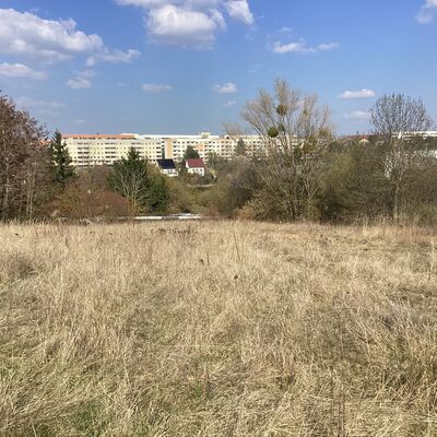 Bild vergr&ouml;&szlig;ern: Erdmann-Neumeister-Stra&szlig;e 4_2