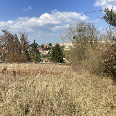 Bild vergr&ouml;&szlig;ern: Erdmann-Neumeister-Stra&szlig;e 5_3