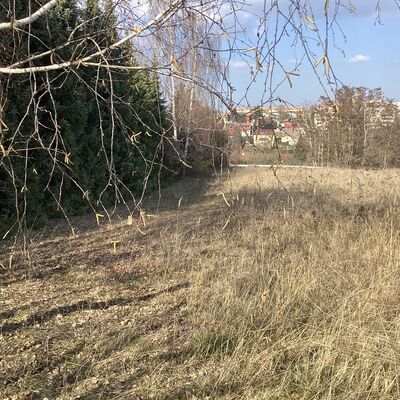 Bild vergr&ouml;&szlig;ern: Erdmann-Neumeister-Stra&szlig;e 6_1