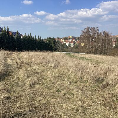 Bild vergr&ouml;&szlig;ern: Erdmann-Neumeister-Stra&szlig;e 7_2