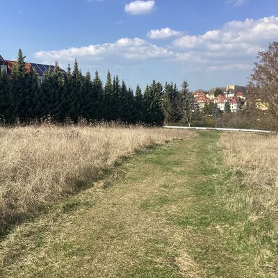 Bild vergr&ouml;&szlig;ern: Erdmann-Neumeister-Stra&szlig;e 7_3