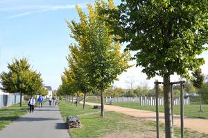 Neustadtpark