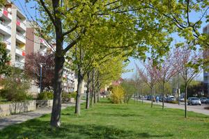 Neustadt_Neumarkt_Wohnblock